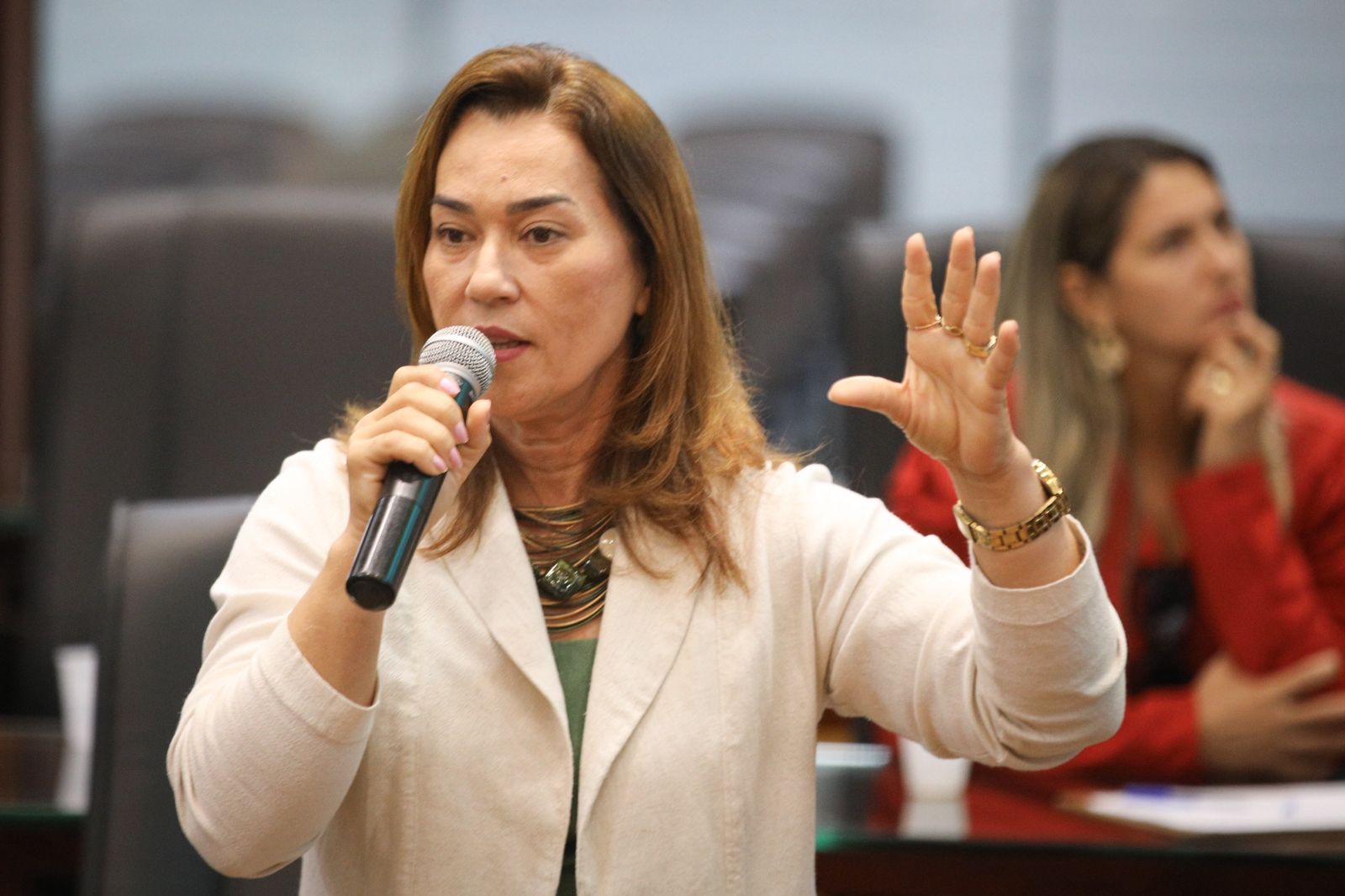 Aleac realiza audiência pública para debater o aumento dos casos de feminicídio no Acre – Cidade AC News Aleac realiza audiência pública para debater o aumento dos casos de feminicídio no Acre | Cidade AC News – Notícias do Acre