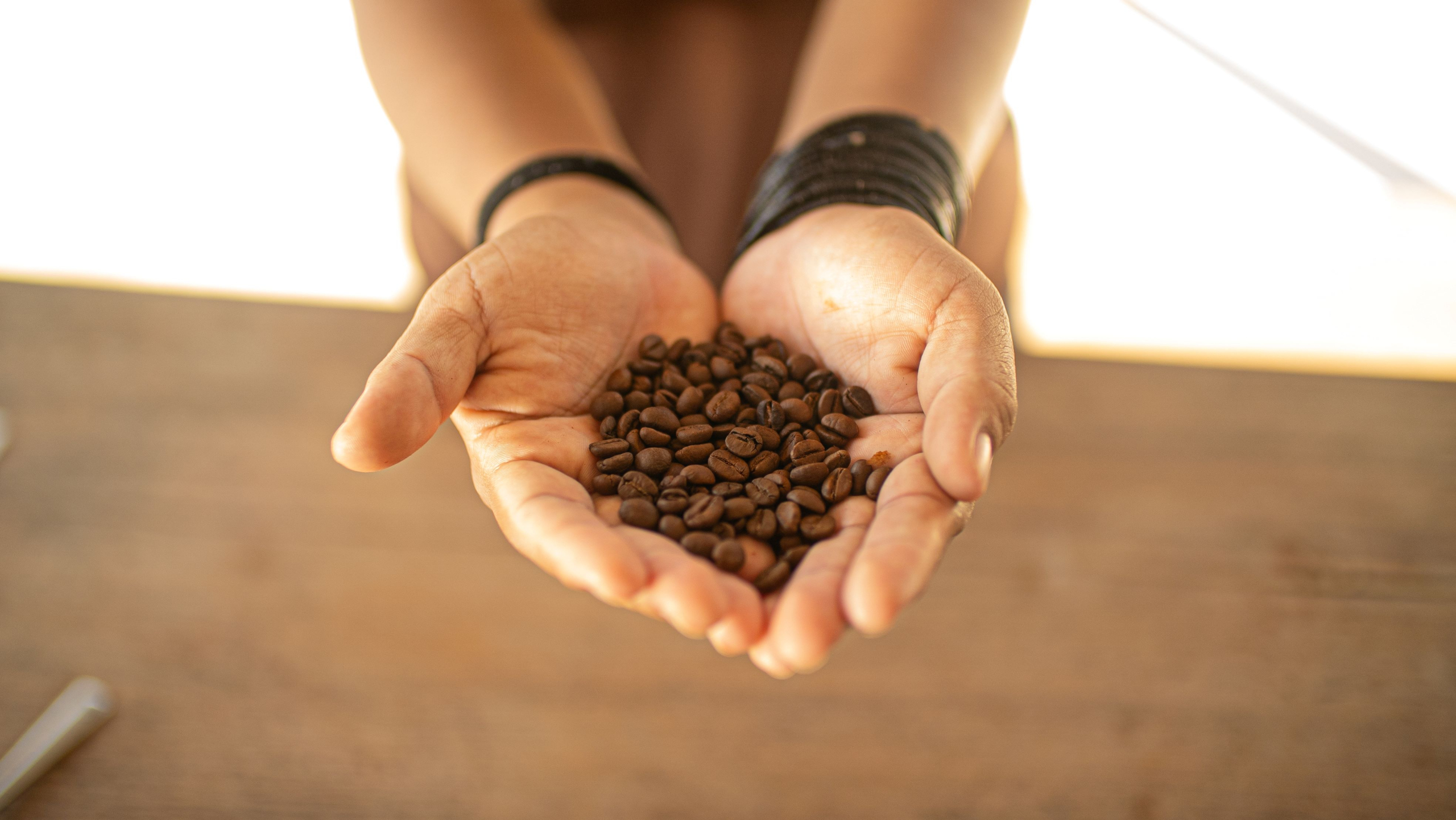 Em Rondônia, povo Paiter Suruí mescla preservação ambiental e empreendedorismo de ponta | Cidade AC News – Notícias do Acre