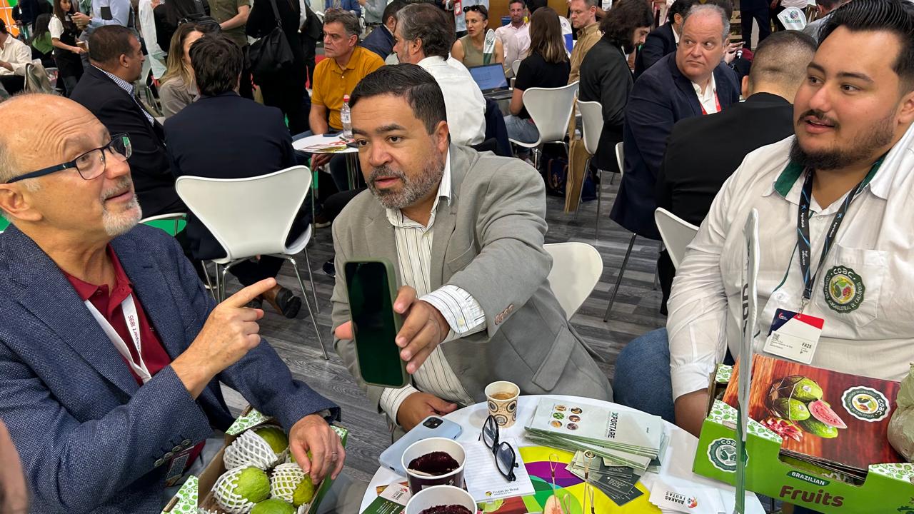 Na Espanha, goiaba de Carlópolis abre mercados e atrai novos compradores | Cidade AC News – Notícias do Acre