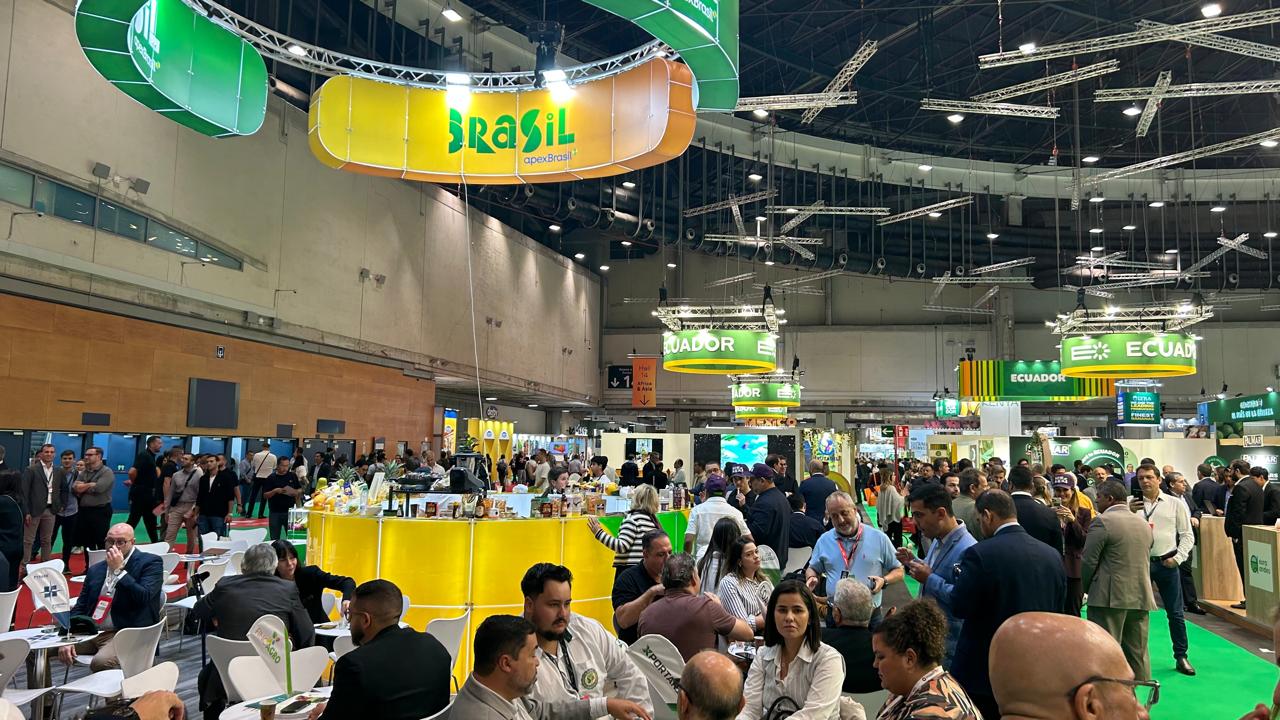 Na Espanha, goiaba de Carlópolis abre mercados e atrai novos compradores | Cidade AC News – Notícias do Acre