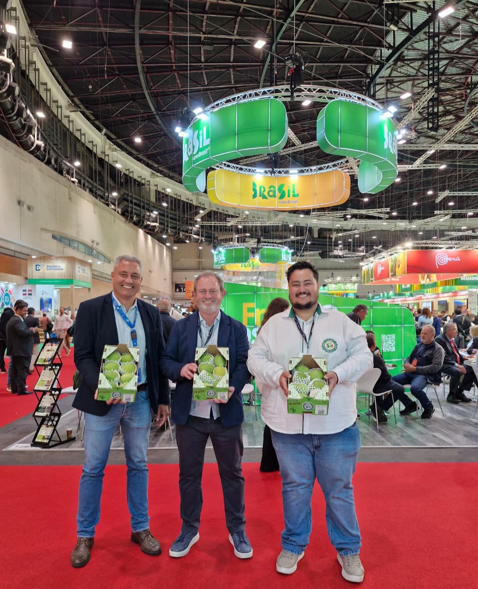 Na Espanha, goiaba de Carlópolis abre mercados e atrai novos compradores | Cidade AC News – Notícias do Acre