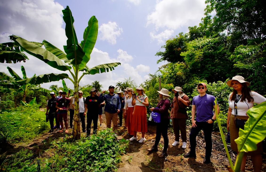 Sebrae acelera a bioeconomia amazônica: conexões que transformam o potencial em realidade | Cidade AC News – Notícias do Acre