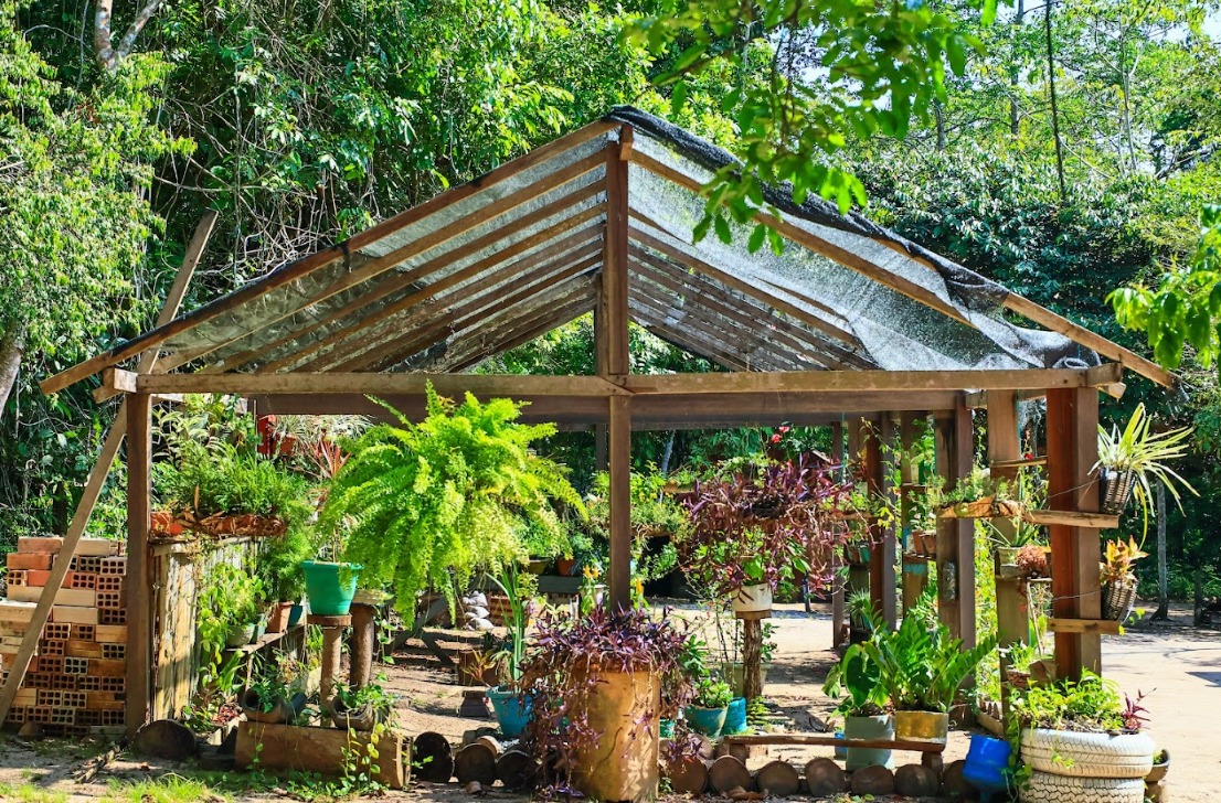 Escola da Floresta: onde a Amazônia é a sala de aula e o futuro é sustentável | Cidade AC News – Notícias do Acre