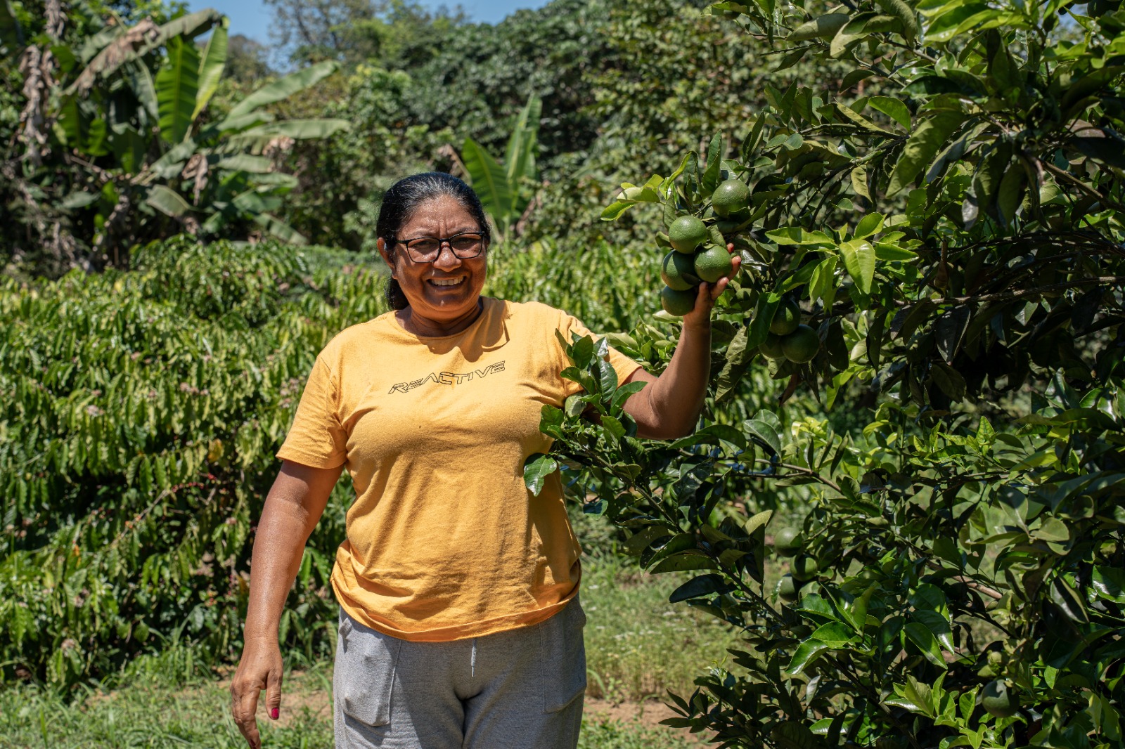 Hambúrguer de tucumã, energético de guaraná e linguiça de açaí: empresas de Manaus unem inovação com a floresta | Cidade AC News – Notícias do Acre