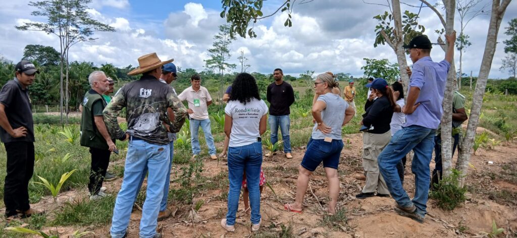 Seagri capacita produtores rurais para o cultivo sustentável da pupunha | Cidade AC News – Notícias do Acre
