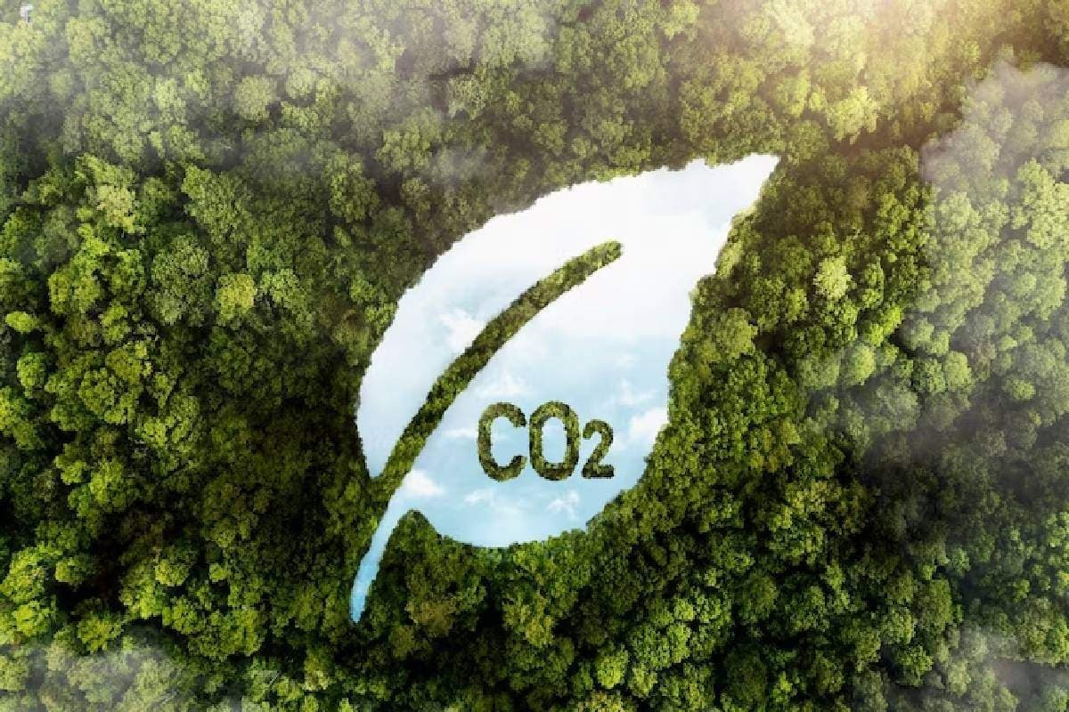 COP30 terá manifesto em defesa do empreendedorismo climático feminino | Cidade AC News – Notícias do Acre