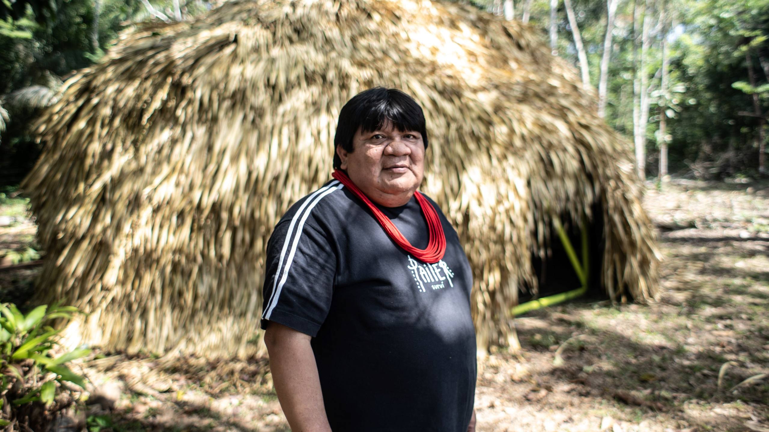 Em Rondônia, povo Paiter Suruí mescla preservação ambiental e empreendedorismo de ponta | Cidade AC News – Notícias do Acre
