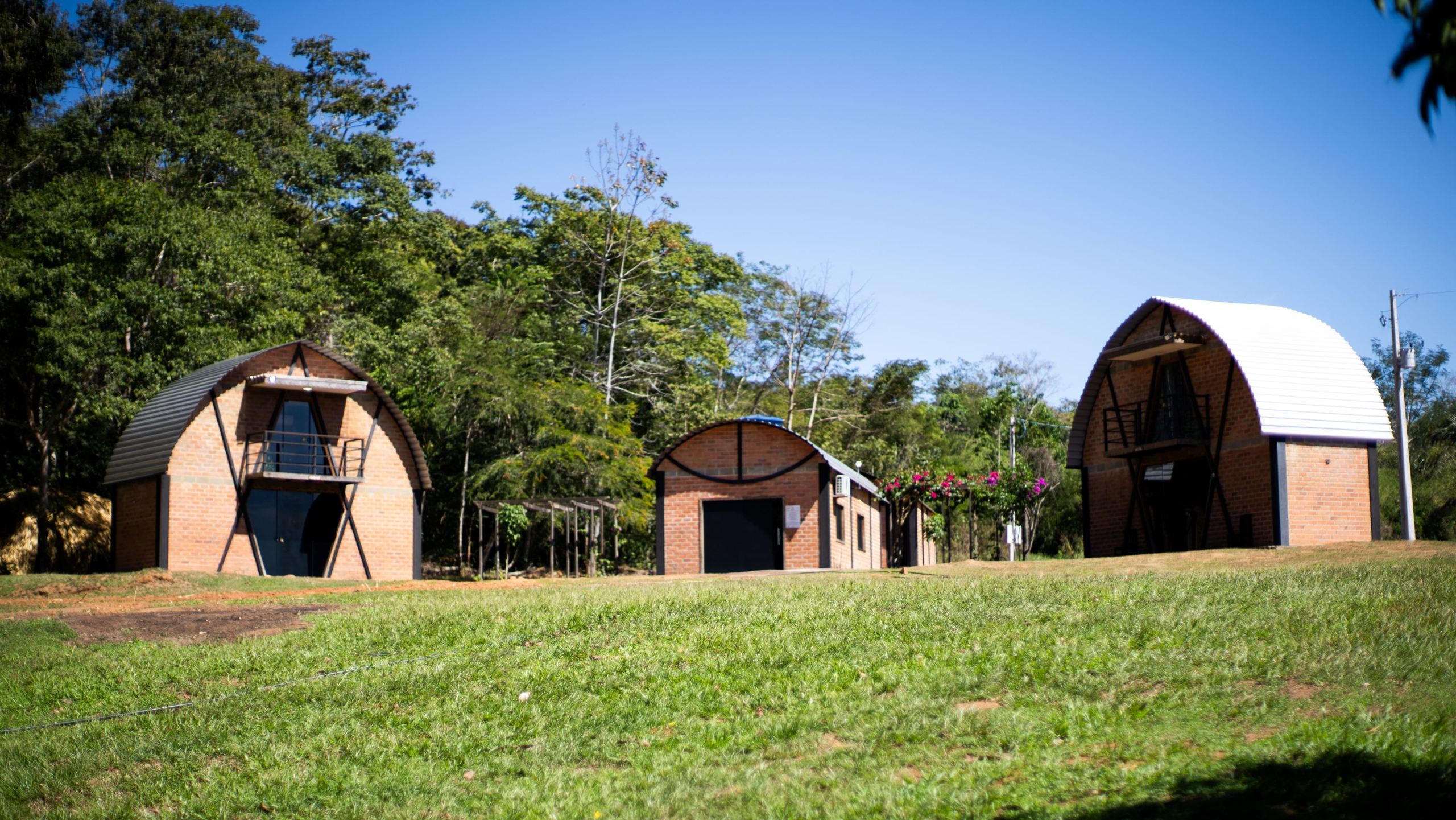 Em Rondônia, povo Paiter Suruí mescla preservação ambiental e empreendedorismo de ponta | Cidade AC News – Notícias do Acre