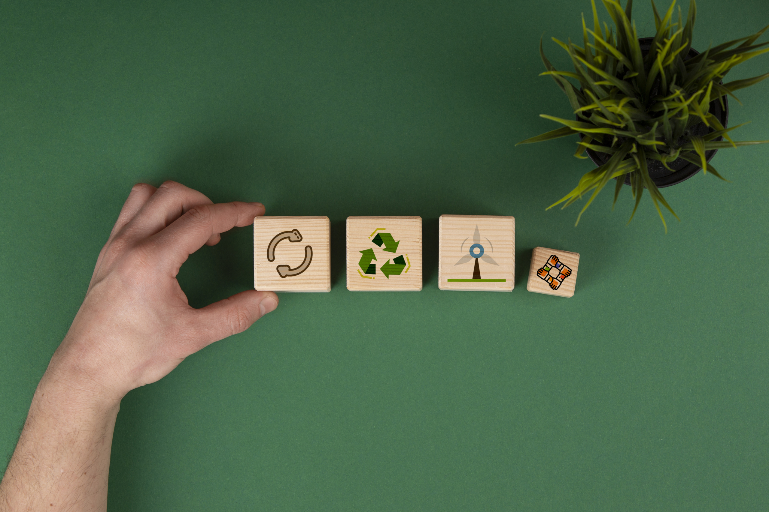 Pequenos negócios brasileiros abraçam as práticas de sustentabilidade socioambiental | Cidade AC News – Notícias do Acre