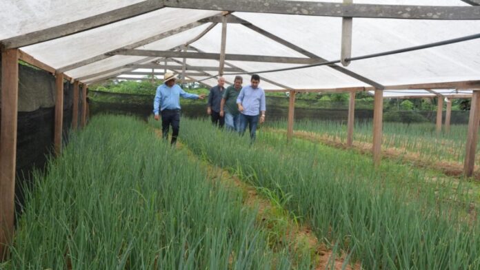 produtividade rural em Rio Branco agricultura familiar
