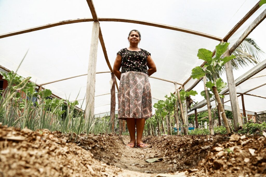 produtividade rural em Rio Branco agricultura familiar