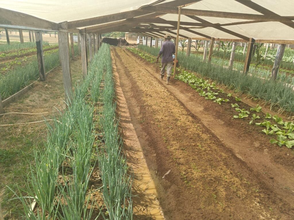 produtividade rural em Rio Branco agricultura familiar