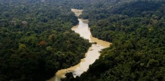 justica-climatica:-da-promessa-global-a-acao-local  