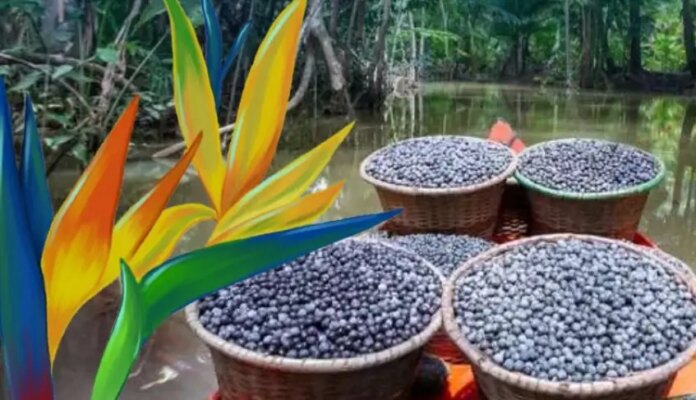 resiliencia-climatica-e-economia-circular-sao-temas-de-publicacoes-do-sebrae-lancadas-na-cop30 resiliencia-climatica-e-economia-circular-sao-temas-de-publicacoes-do-sebrae-lancadas-na-cop30