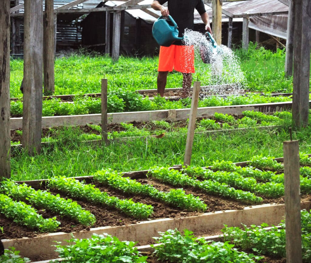 trabalho-em-horta-e-ferramenta-para-ressocializacao-de-homens-privados-de-liberdade-em-rio-branco