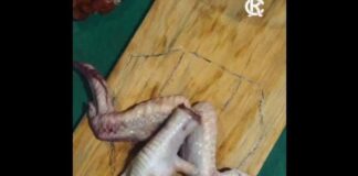 Com pés de galinha e asas, Remo provoca o Paysandu após rebaixamento para a Série C com-pes-de-galinha-e-asas,-remo-provoca-o-paysandu-apos-rebaixamento-para-a-serie-c