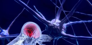 unesco-faz recomendacao-inedita-para-uso-etico-da-neurotecnologia