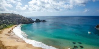 usina-solar-garantira-descarbonizacao-da-energia-em-noronha-ate-2027