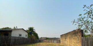 governo-promove-leiloes-eletronicos-e-presencial-em-novembro