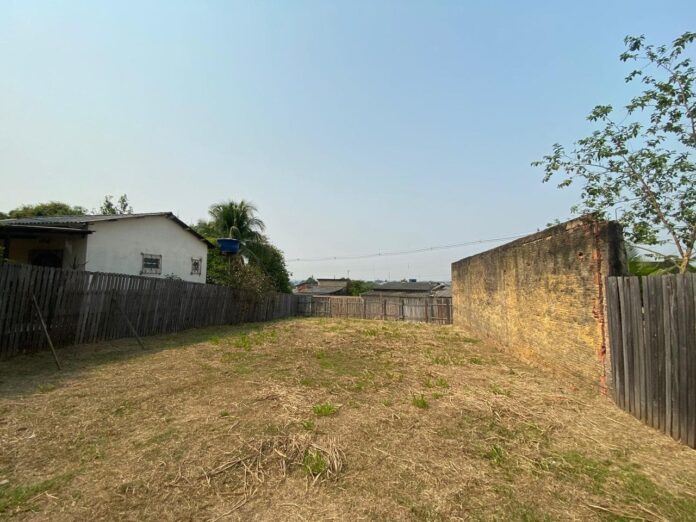 governo-promove-leiloes-eletronicos-e-presencial-em-novembro governo-promove-leiloes-eletronicos-e-presencial-em-novembro