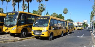 nova-legislacao-garante-repasses-para-alimentacao-e-transporte-escolar