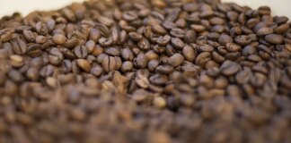 trump-diz-que-reduzira-tarifas-para-importacao-de-cafe