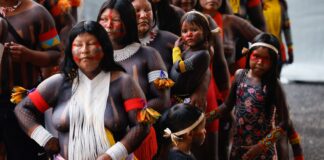 cop:-protecao-ambiental-e-luta-indigena-sao-indissociaveis,-diz-fachin