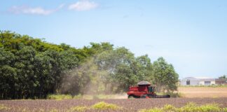 concessao-de-credito-rural-das-linhas-do-plano-safra-cai-22%