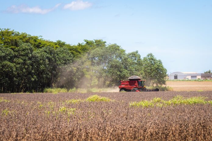 concessao-de-credito-rural-das-linhas-do-plano-safra-cai-22%