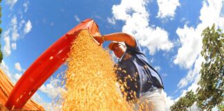 agropecuaria-ajudou-oito-estados-a-crescerem-mais-que-o-brasil-em-2023