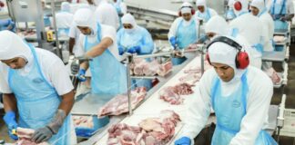 acre-bate-recorde-historico-e-pib-cresce-14,7%-em-2023,-liderando-o-avanco-nacional