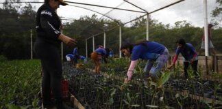 governo-fecha-parceria-para-expandir-energia-renovavel-na-amazonia