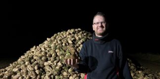 alemao-colhe-beterraba-a-noite-para-evitar-que-producao-seja-congelada;-veja-o-video