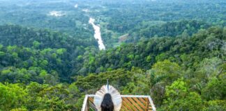 nos-122-anos-do-tratado-de-petropolis,-acre-celebra-historia,-tradicao-e-protagonismo-nacional