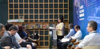 em-painel-entre-brasil-e-china,-vice-governadora-mailza-reafirma-compromisso-para-construcao-de-solucoes-economicas,-tecnologicas-e-ambientais