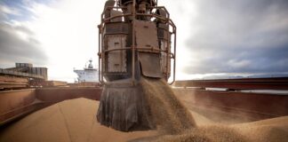 china-teria-comprado-mais-1,3-milhao-de-toneladas-de-soja-dos-eua