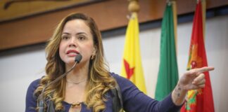 deputada-michelle-melo-critica-deboche-do-governo-e-cobra-envio-imediato-do-pccr-da-saude