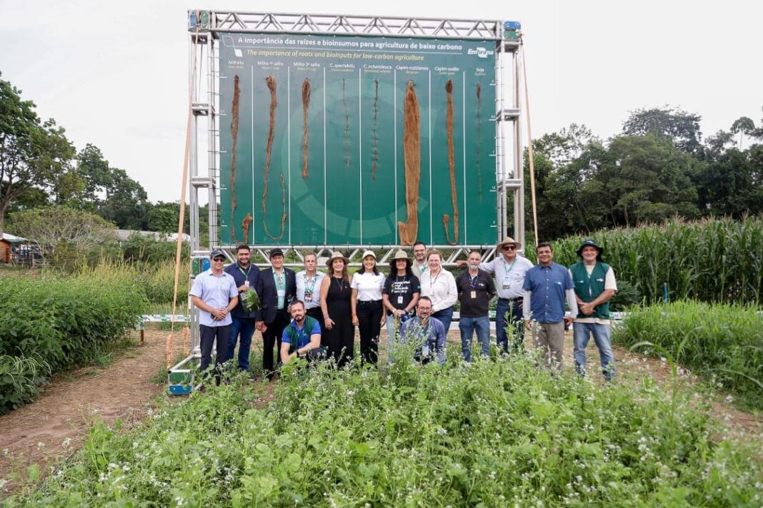 vice-governadora-mailza-visita-agrizone-na-cop30-e-conhece-iniciativas-de-agricultura-sustentavel-e-inovacao-tecnologica-da-embrapa