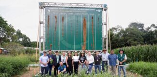 vice-governadora-mailza-visita-agrizone-na-cop30-e-conhece-iniciativas-de-agricultura-sustentavel-e-inovacao-tecnologica-da-embrapa