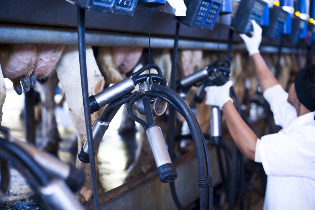 rio-grande-do-sul-anuncia-compra-publica-de-2,2-mil-toneladas-de-leite