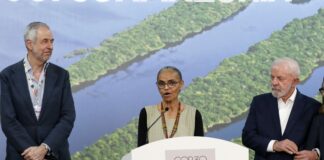 alemanha-dara-1-bilhao-de-euros-para-florestas-tropicais,-diz-marina