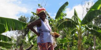 como-o-manejo-agroecologico-de-quilombolas-pode-combater-o-racismo-ambiental