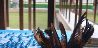 acao-do-novembro-azul-aproxima-cuidado-em-saude-de-homens-na-casa-de-saude-indigena,-em-rio-branco