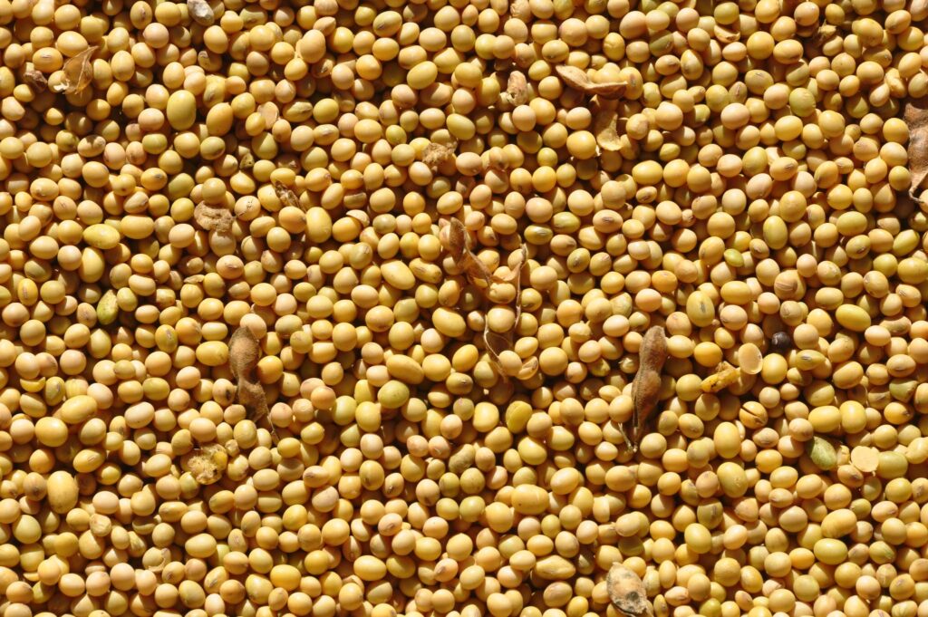 graos-operam-em-queda-na-bolsa-de-chicago