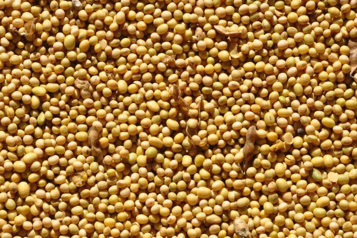 graos-operam-em-queda-na-bolsa-de-chicago