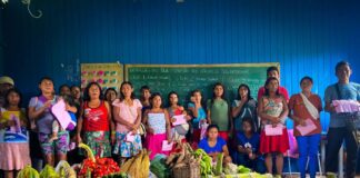 programa-de-aquisicao-de-alimentos-ja-destinou-mais-de-r$-11-milhoes-a-agricultura-familiar-e-indigena-do-acre