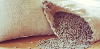 exportacoes-de-cafe-para-os-eua-devem-se-normalizar-em-seis-meses