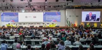 documentos-finais-da-cop30-fazem-mencao-inedita-a-afrodescendentes