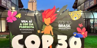 cop30-aprova-pacto-de-belem-com-29-acordos-para-o-clima
