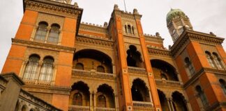 fiocruz-inicia-testes-em-humanos-para-tratar-atrofia-muscular-espinhal